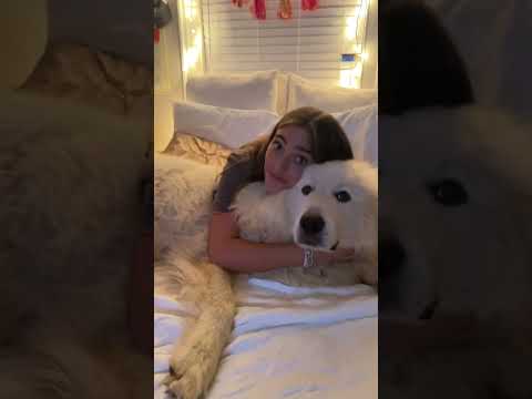 whatt why would you say that #dogs #bestfriend