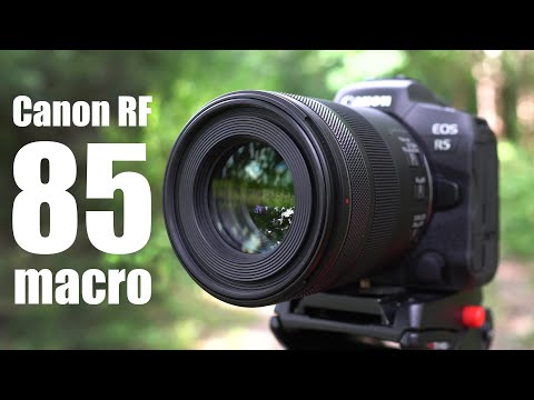 External Review Video PzL5pPUtq_w for Canon RF 85mm F2 MACRO IS STM Full-Frame Lens (2020)