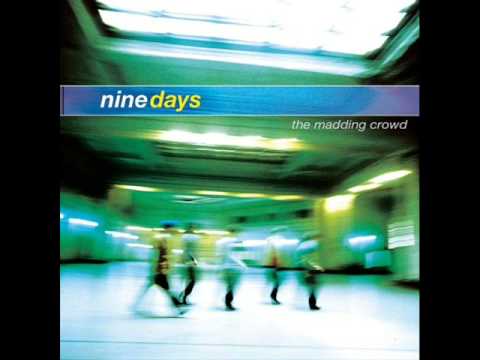 Nine Days - Bitter - The Madding Crowd