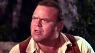 Bonanza - By The Light Of A Burning Bridge
