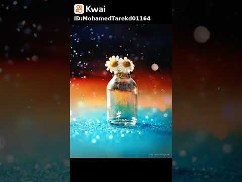 ملكة الرومنسيه