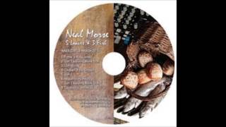Neal Morse - Children of the Chosen (Acoustic Version)