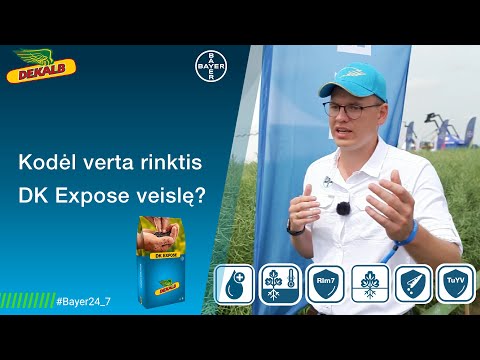 Kodėl verta rinktis DK EXPOSE veislę?