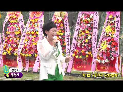초대가수 심정아,사랑불,제16회 용암산성 옥샘문화제