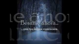 Sonata Arctica- No Dream Can Heal a Broken Heart (traducida al español)