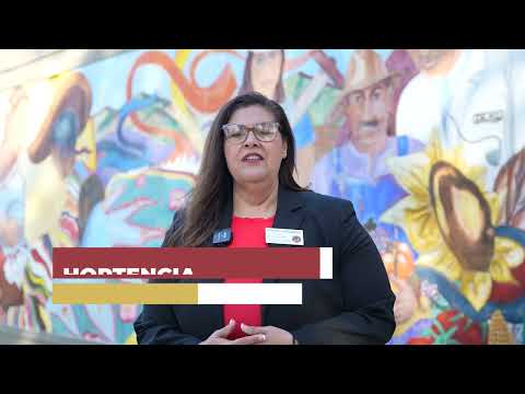 Progress in Woodland Schools: A Path to Modernization