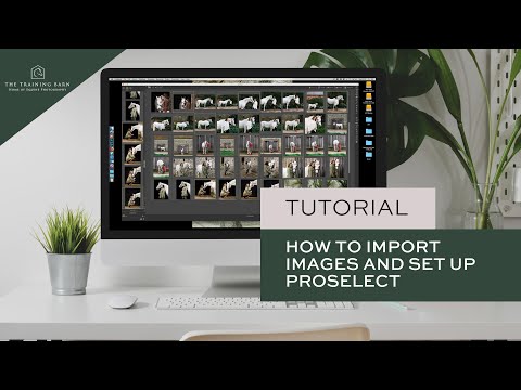 How To Import Images and Set Up ProSelect For In-Person Viewing