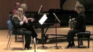 Zinkali Trio plays 'Souvenir du Rigi' by Franz Doppler
