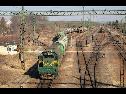 Terelés Murakeresztúron