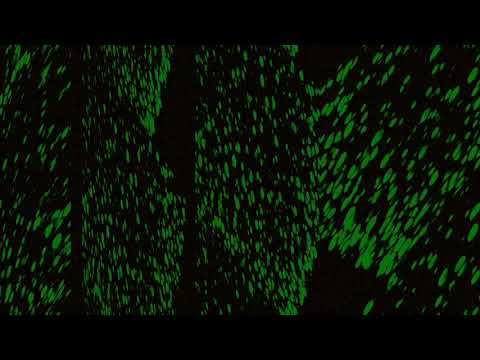 Video thumbnail for Incantation VI