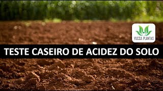 TESTE DE ACIDEZ DO SOLO- Método caseiro para testar o pH do solo