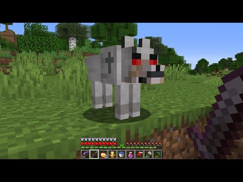 If You See This Minecraft Dog… RUN! #Shorts
