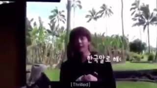 Parrot responds to thrilled  Seokjin speaking in k