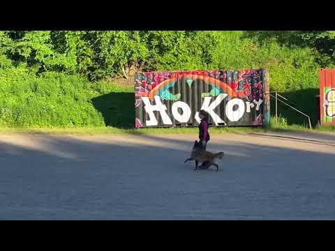 Xena JK3  tottis (osa 1) 16.6.2021