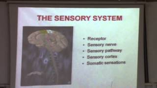 6-[Sensory] Dr.Maha Sabry 20-10-2015