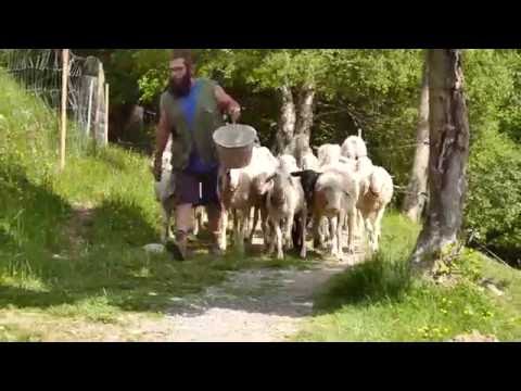 Articolazioni gonfie del trattamento del piede Dolore addominale e nelle donne dopo le mestruazioni