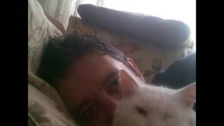 PRAYİNG MANTİS FALLEN ANGEL