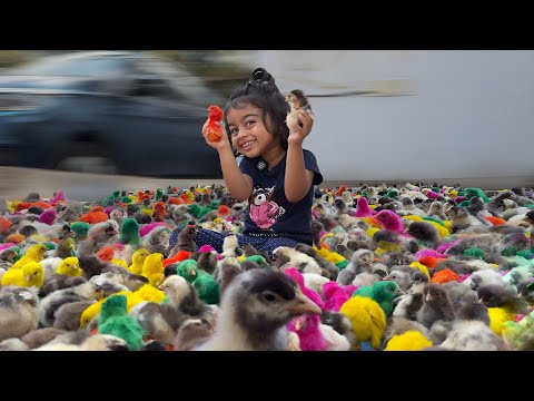 AYRA vs 1000 *கோழி குஞ்சு*…😂😂