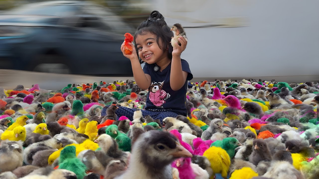 AYRA vs 1000 *கோழி குஞ்சு*…😂😂