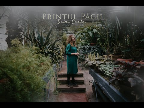 Diana Cardei - Printul Pacii (cover)