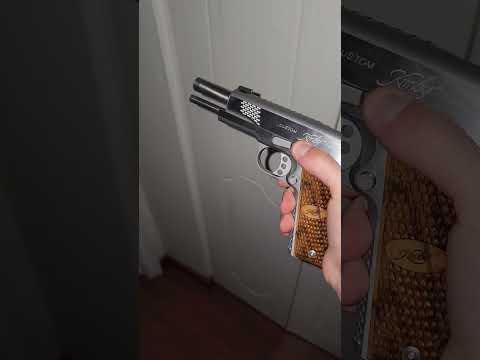 kimber stainless raptor ii