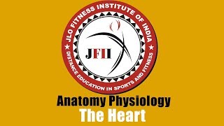 JFII EXPLAINED CHAPTER 6 THE HEART