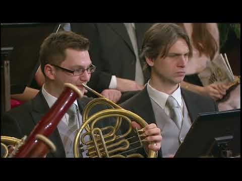 Johann Strauss Sohn: Csárdás