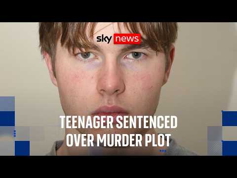 Norwegian teenage hitman who flew to UK to commit murder jailed