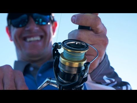 Nasci Spin Reel - SHIMANO FISHING AUSTRALIA