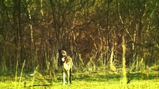 Francois de Roubaix - Enterrement Sous-Marin