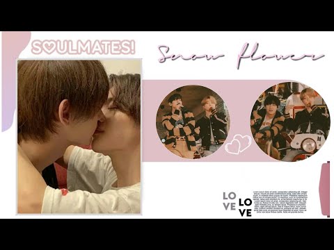 𝘃𝗺𝗶𝗻 • Snow Flower ♡