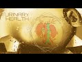 𝗠𝗜𝗖𝗧𝗨𝗥𝗔𝗧𝗘 Ideal Bladder Urinary Health Subliminal Listen Once 𝒬𝒮