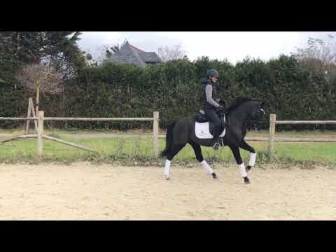 PAV BLOMQUIST - Vendu