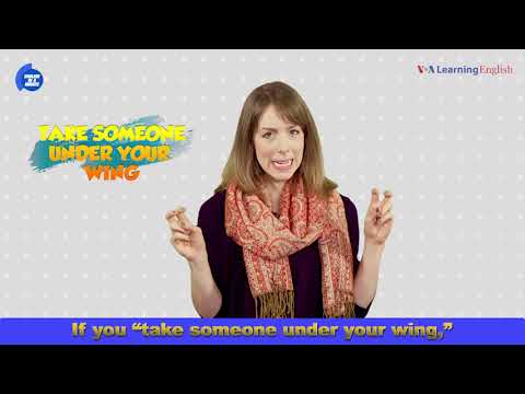 Learn English in a Minute: Take Someone Under Your Wing