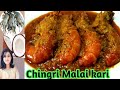 Jamai Sasthi Special Recipe Chingri Macher Malaikari এরকম চিংড়িমাছের 