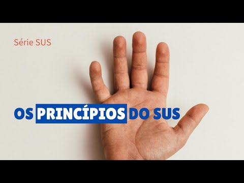 The principles of the SUS
