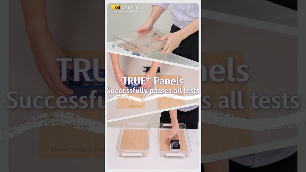 TRUE⁺ Panels ✨Ultimate Comparison Test🔎| KEDING