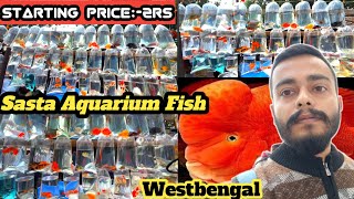 Aquarium Fish Price in 2024 | Online aquarium fish sale Market | Cheap price Aquarium Fish