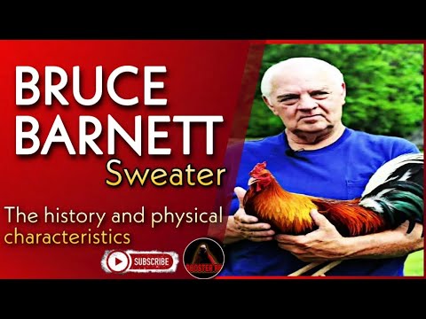 Bruce barnett sweater's history and physical characteristics