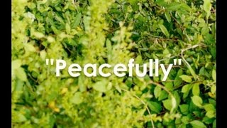 Mary Fletcher- Peacefully (Lyric Video)