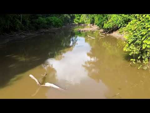 Rio Machadinho – Memórias do Alto | A Ponte da linha C-68 e C-78 que chega na RO-257