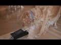Outtakes From Dog Rewinds A VHS