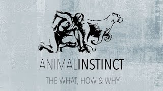 Animal Instinct - The "What, How & Why"