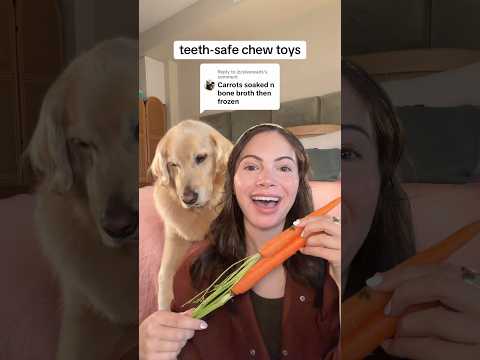 we rate these 4/10, what should we try next? #dogtoytest