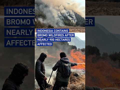 Indonesia contains Bromo wildfires after nearly 900 hectares affected #worldnow