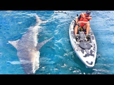 Massive Shark Fishing Crazy Tiny Boat!!! Weird Fish Catch Must See In Kayak ft BlacktipH
