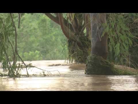 Rescatan a un custodio atrapado por la crecida del Río Bayamo