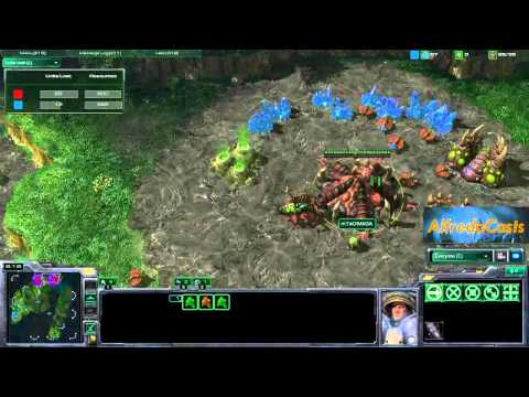 Satiini (T) vs. mTwDimaga (Z) Skill level: 10