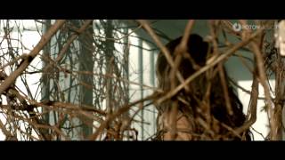 Antonia feat  Jay Sean   Wild Horses Official Music Video