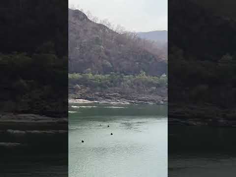 Statue of unity#narmada #gujarat#sardarpatel #narmada river#narmada river dam#india#independence